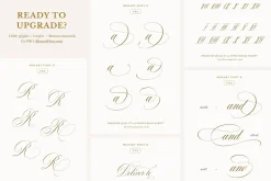 The Mozart Script