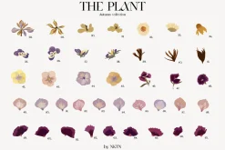 The PLANT. Autumn collection