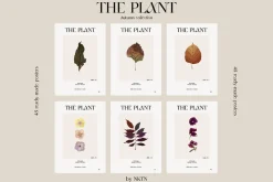 The PLANT. Autumn collection