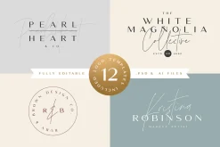 The Amoret Font Duo + 12 Logos
