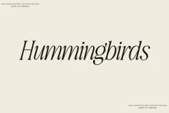 The Awesome Serif Family (32 Fonts)