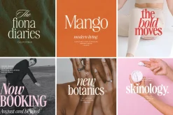 The Awesome Serif Family (32 Fonts)