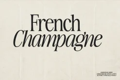 The Awesome Serif Family (32 Fonts)