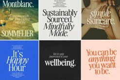 The Awesome Serif Family (32 Fonts)