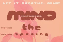 The Bold Era Chunky Vibe Sans Serif