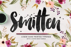 The Brush Font Bundle • 50% OFF