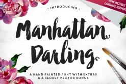The Brush Font Bundle • 50% OFF
