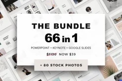 The Bundle + 80 Photos FREE Updates