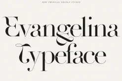 The Fashion Font Collection