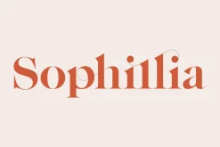 The Fashion Font Collection