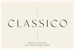 The Fashion Font Collection
