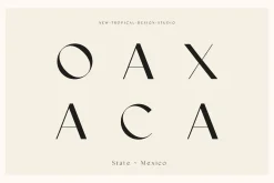 The Fashion Font Collection