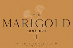 The Fashion Font Collection