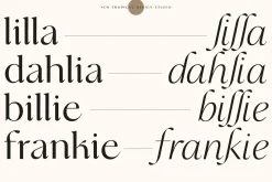 The Fashion Font Collection