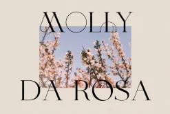 The Fashion Font Collection