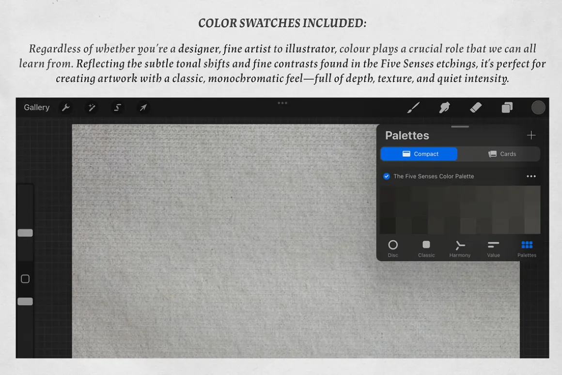 The Five Senses Procreate Kit