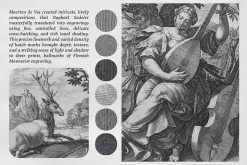 The Five Senses Procreate Kit
