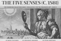 The Five Senses Procreate Kit