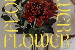 The Gaslrile Serif Display Typeface