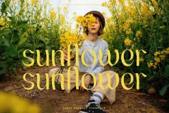 The Gaslrile Serif Display Typeface