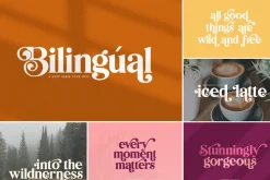 The HUGE Font Bundle (98% OFF) SALE