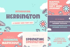 The HUGE Font Bundle (98% OFF) SALE