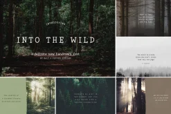 The HUGE Font Bundle (98% OFF) SALE