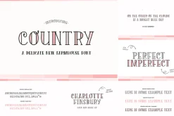 The HUGE Font Bundle (98% OFF) SALE