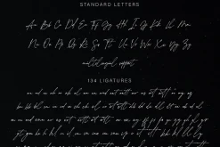 the impressionist // luxe chic font
