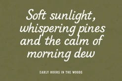 The Maple Shore – Font Duo