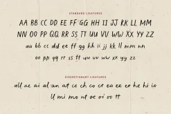 The Minimalist | Handwritten Font