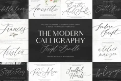 The Modern Calligraphy Script Bundle