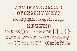 The Narlesh Plasttic Contras Font