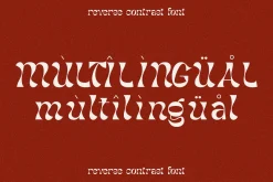 The Narlesh Plasttic Contras Font