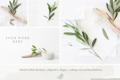 The Olive & White Mockup Bundle