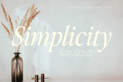 The Picnic Club 11 Fonts