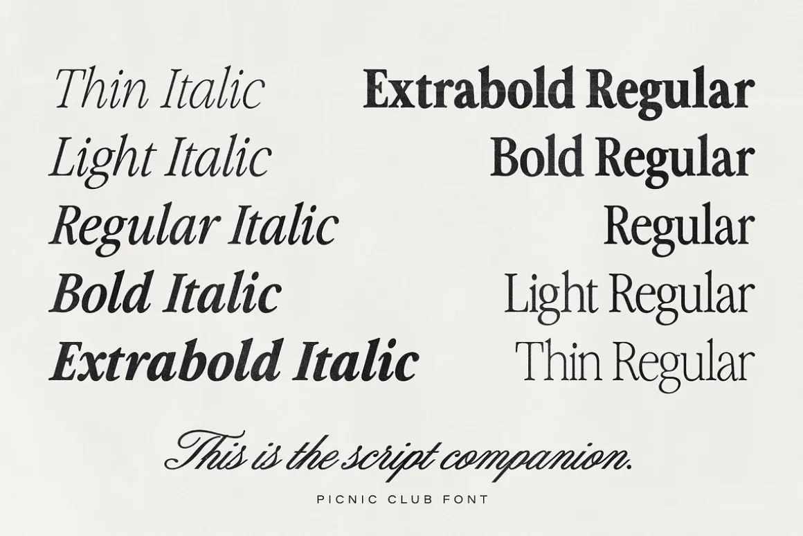 The Picnic Club 11 Fonts