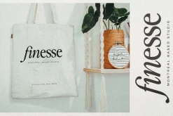 The Picnic Club 11 Fonts