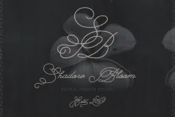 The Poetry Elegant Swash Script Font