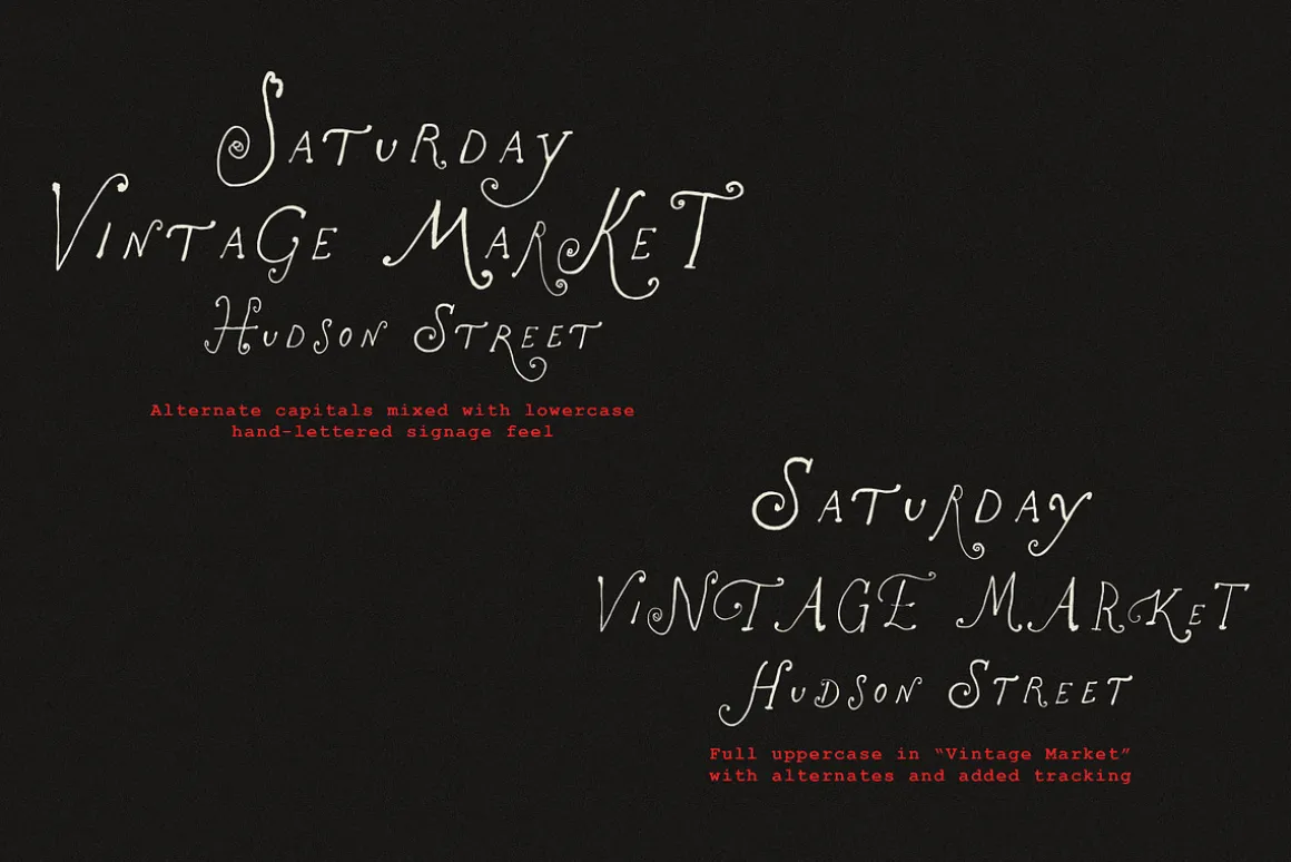 The Rose Atelier// Hand drawn Font