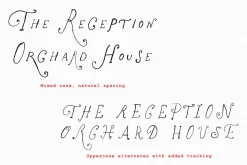 The Rose Atelier// Hand drawn Font