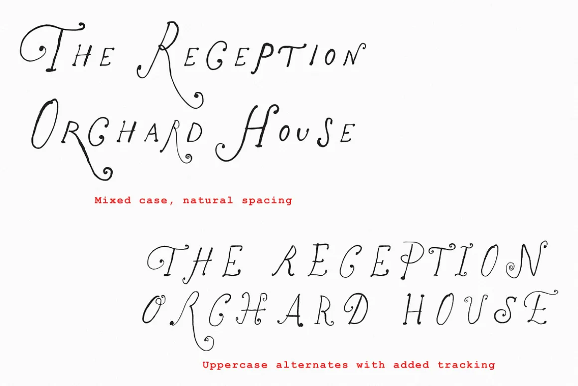 The Rose Atelier// Hand drawn Font
