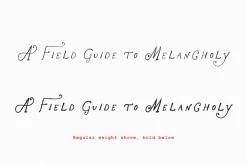 The Rose Atelier// Hand drawn Font