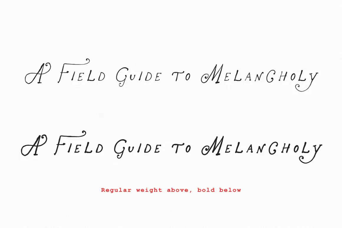 The Rose Atelier// Hand drawn Font