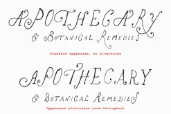 The Rose Atelier// Hand drawn Font