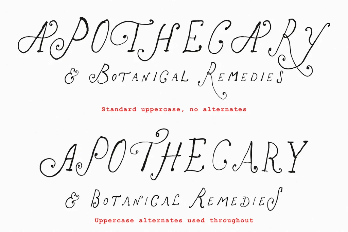 The Rose Atelier// Hand drawn Font