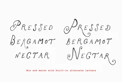 The Rose Atelier// Hand drawn Font