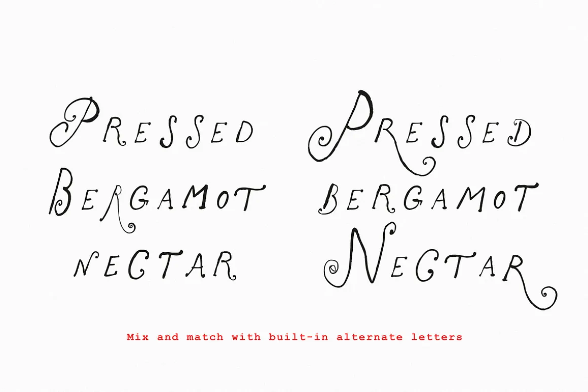 The Rose Atelier// Hand drawn Font