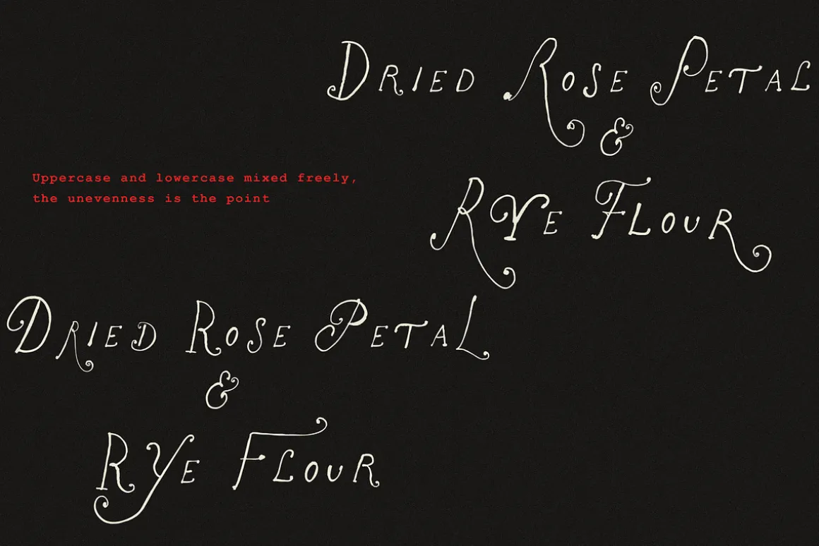 The Rose Atelier// Hand drawn Font