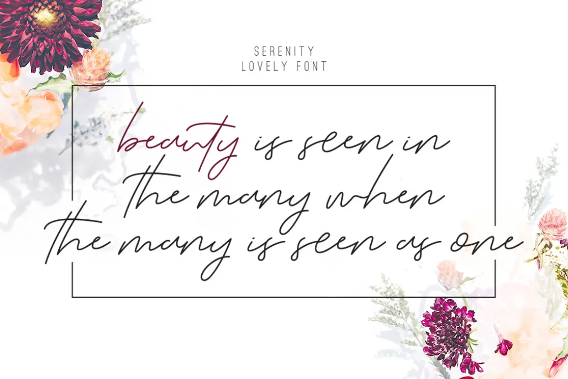 The Serenity - Lovely Script